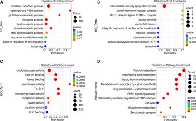 Comprehensive Analysis of the Expression Profiles of Hepatic lncRNAs in the Mouse Model of Alcoholic Liver Disease